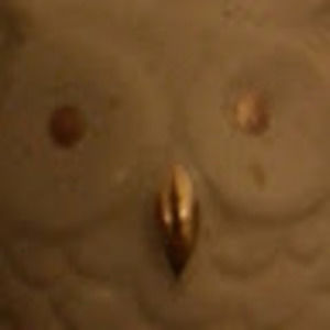 Meet your Posher, Janeth